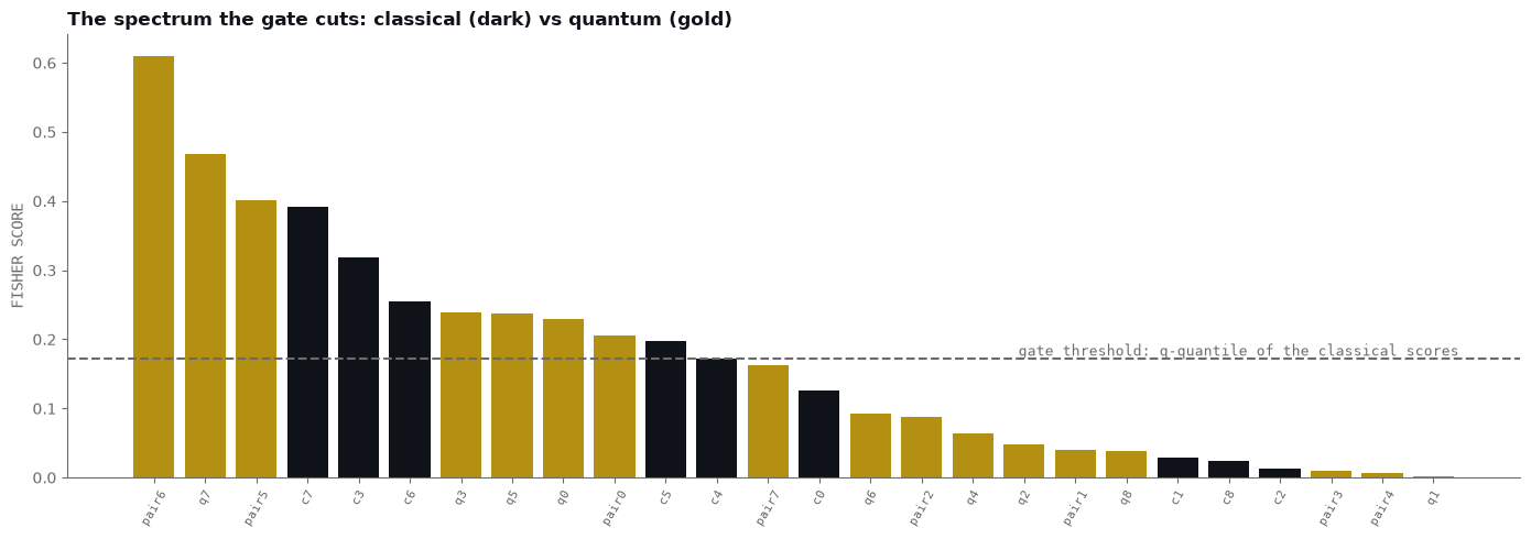 Bar chart of Fisher scores for all 26 columns, sorted descending, classical columns in dark, quantum columns in gold, with a dashed threshold line at the gate quantile of the classical scores, drawn at the median. The top three bars are quantum, beating the best classical column; seven of the seventeen quantum columns clear the line, and the tail decays smoothly toward zero.
